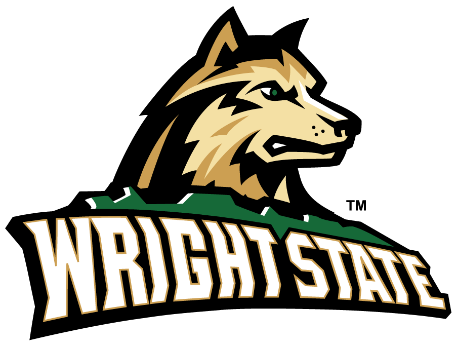 Wright State Raiders 2017-Pres Primary Logo diy iron on heat transfer